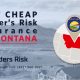 Principal Banner of Best Cheap Builder’s Risk Insurance in Montana
